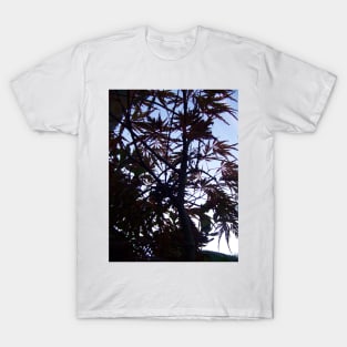 Silhouette of Maroon Maple Tree T-Shirt
